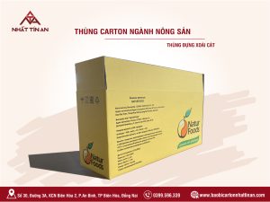 Thùng carton đóng gói xoài xuất khẩu