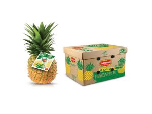 Thùng Dứa Xuất Khẩu và kích thước thùng