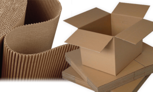 giấy carton